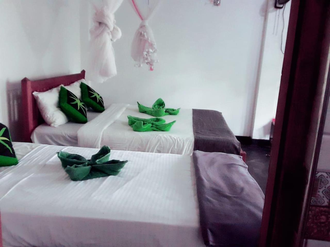 Enthral View Homestay Ella Zewnętrze zdjęcie